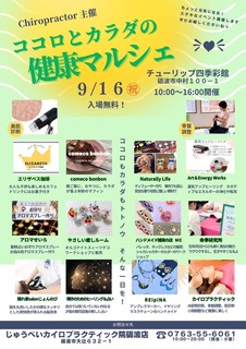 20240916カイロ.jpg